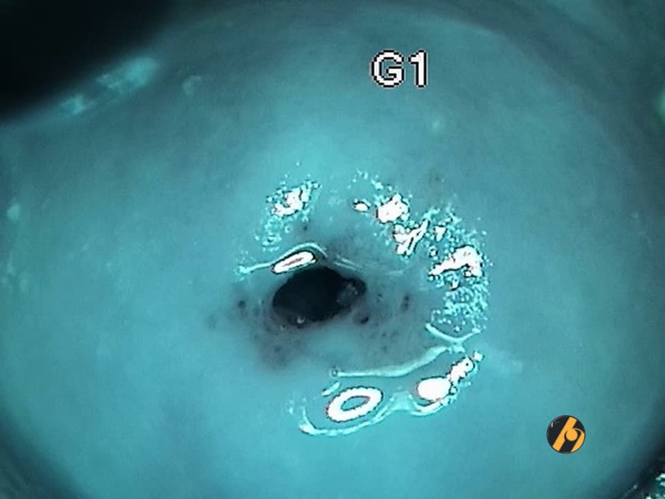 slide1.jpg