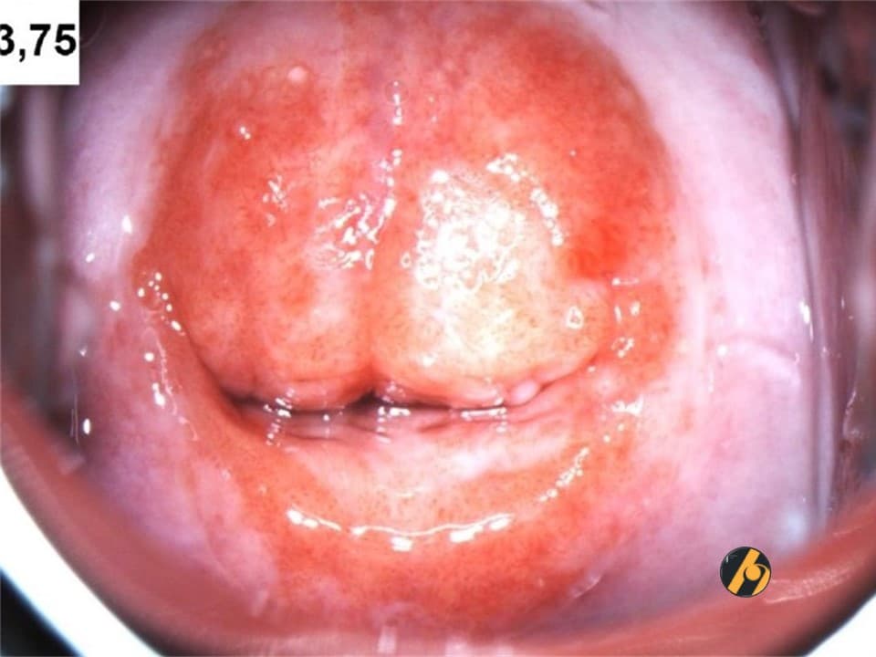 slide6.jpg