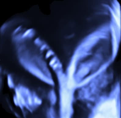 bico_15.jpg