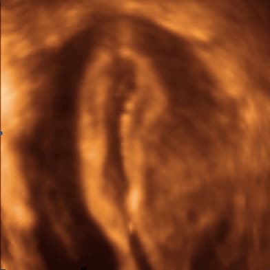 unicol_7.jpg