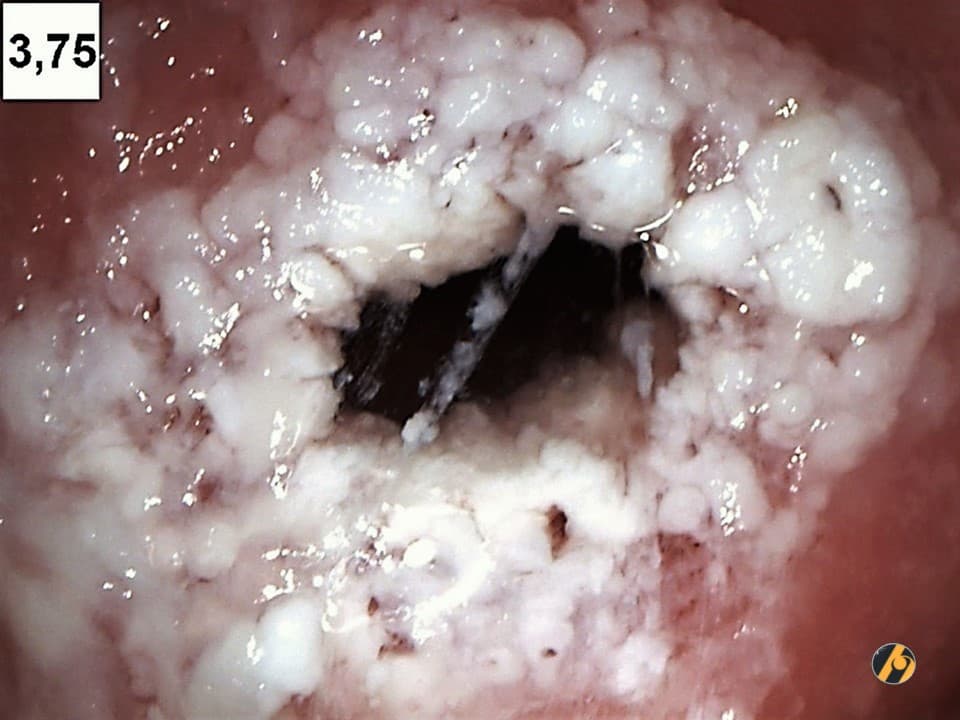 slide2.jpg