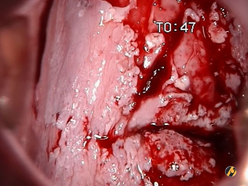 slide3.jpg