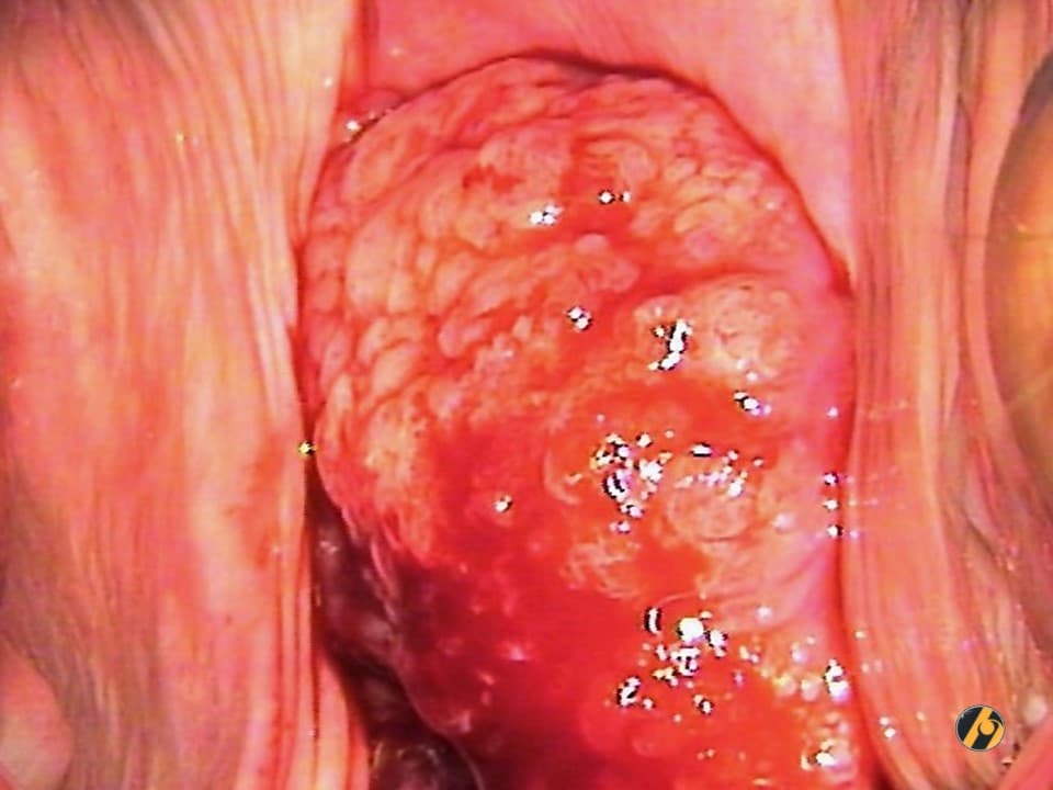 slide6.jpg