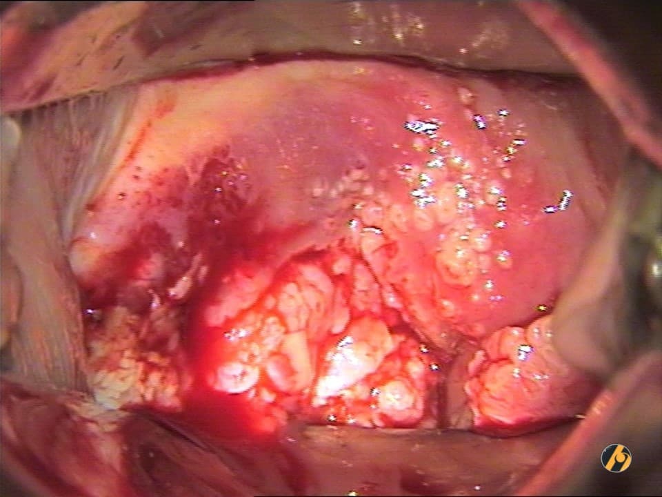slide7.jpg