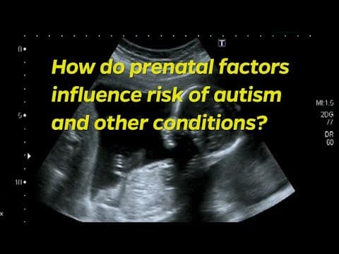 Prenatalni multivitamini – put kojim se smanjuje rizik za autizam?