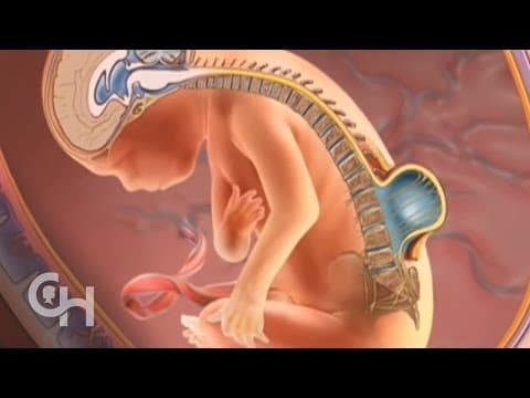 Vitamin B12 i spina bifida