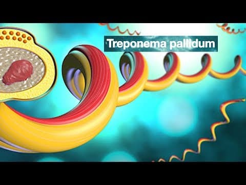 Penicilin: lijek prvog izbora u liječenju sifilisa