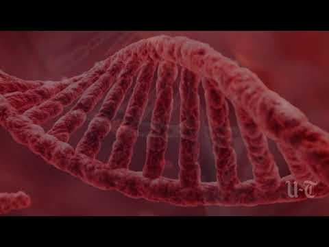 NIPT - neinvazivni prenatalni probir