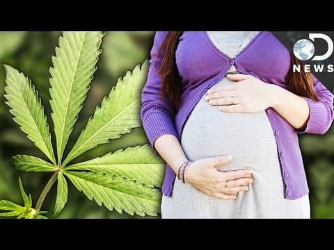 Marihuana u trudnoći nije neovisan rizični faktor za nepovoljni neonatalni ishod